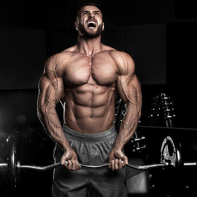 Résultat de recherche d'images pour "biceps reps"
