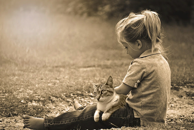 Imagen de una dulce niña de espaldas con un gatito en su regazo