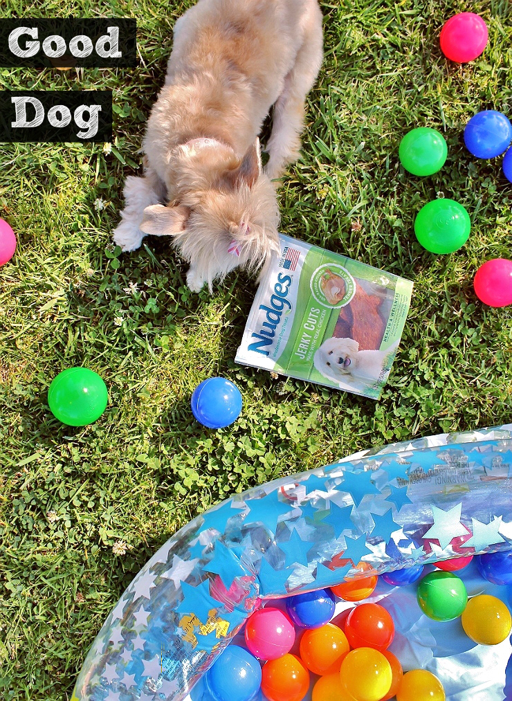 This Summer #NudgeThemBack with a DIY Ball Pit and wholesome, made in the U.S.A, Nudges® dog treats from Walmart. #AD 