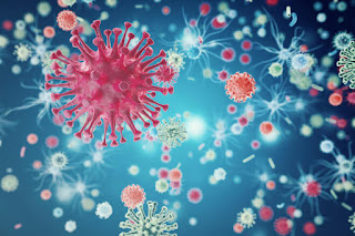Virus lạ