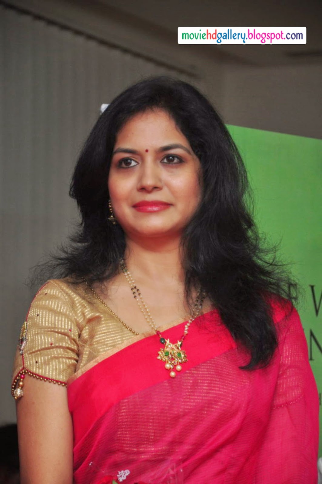 Singer Sunitha Beautiful Photos Moviehdgallery