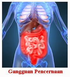 obat untuk gangguan pencernaan herbal dan alami obat untuk gangguan pencernaan herbal dan alami