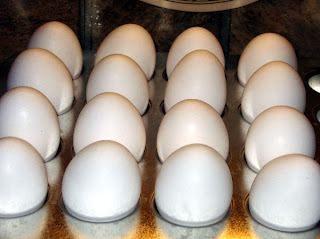 "HARD BOILED" EGGS FROM THE OVEN