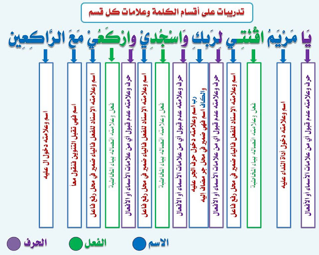  انفراد.... كل قواعد اللغة العربية لطلاب "ابتدائي - اعدادي - ثانوي" في صورة لوحات مبسطة مع الشرح والتدريبات 7