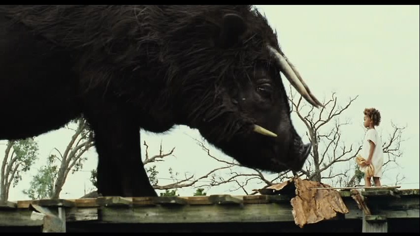 Beasts.of.the.Southern.Wild-DVD_LUISFULL