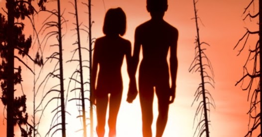 47+ The Forest (2016 Film) Gif