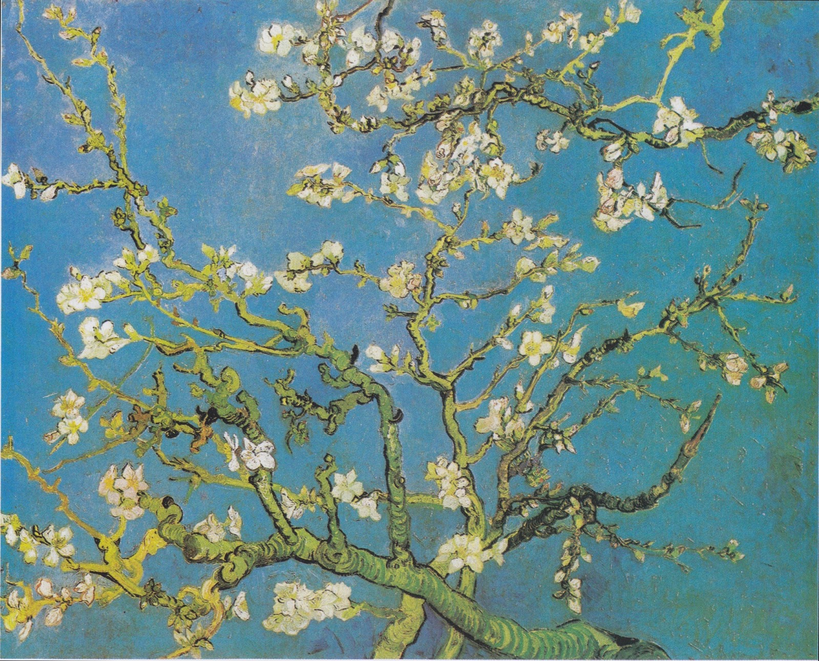 10 Ciekawych Faktow Z Zycia Vincenta Van Gogha Ktore Warto Znac Minerva
