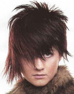 Punk Rock Hairstyle Pictures - Punk Rock Haircut Ideas