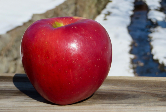 NEW Cosmic Crisp Apples, and Opal Apple Taste Test 