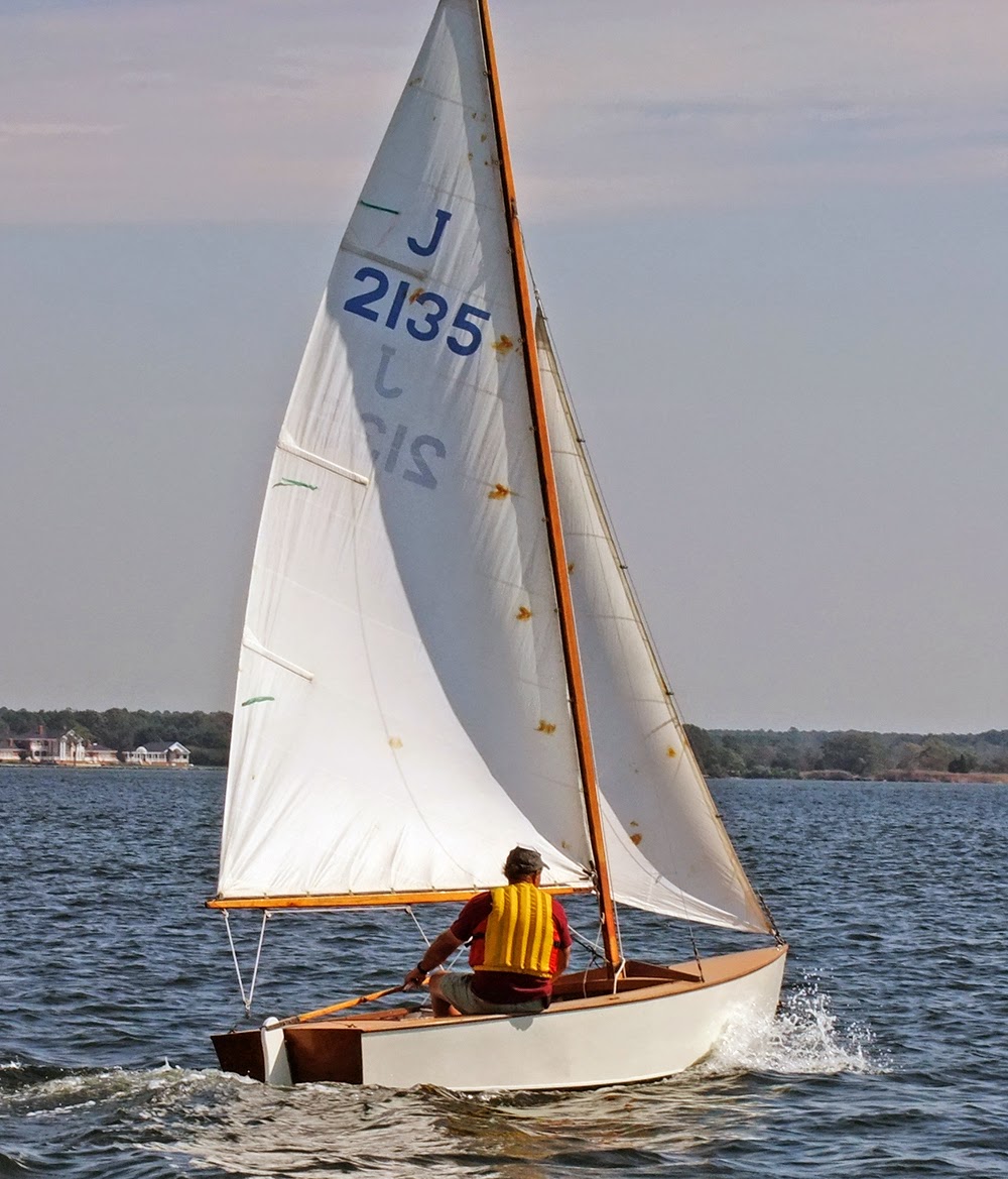 Earwigoagin ODOY Review The Blue Jay