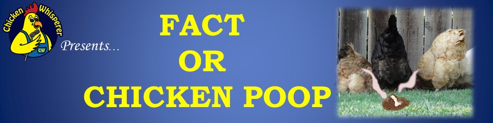 Fact Or Chicken Poop