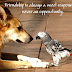 Sweet Friendship Quotes And Romantic Wishes Images