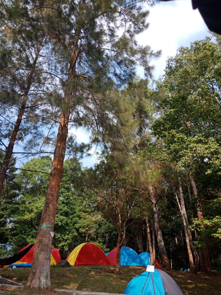 кемпинг гренсе якобсельв. кемпинг 7. кемпинг 7. кемпинг 7. палатка 4000 мм.