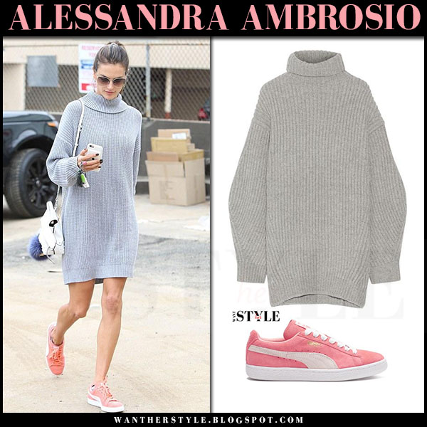 isa sweater dress