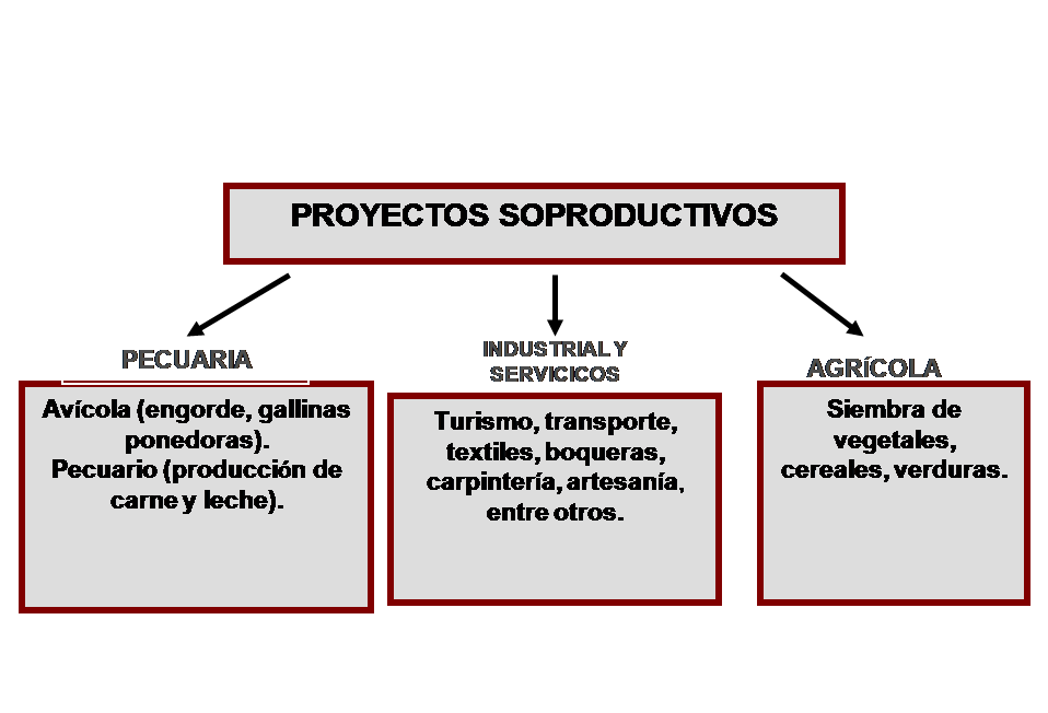 PROYECTO SOCIO PRODUCTIVOS PROYECTO SOCIO PRODUCTIVOS