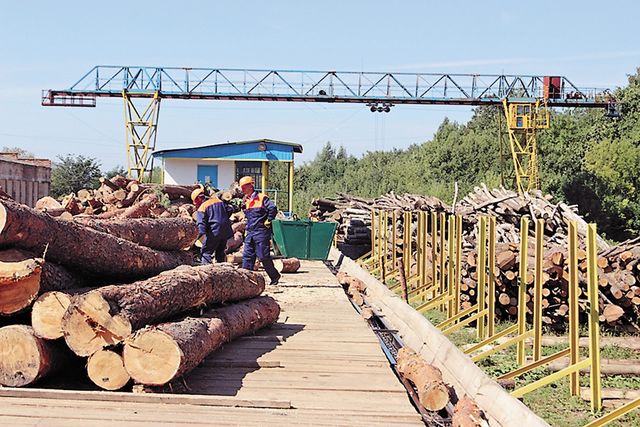 лесная, деревообрабатывающая и целлюлозно-бумажная промышленность. складирование лесоматериалов. лесная промышленность. штабель лесоматериалов. лесной склад лесистый.