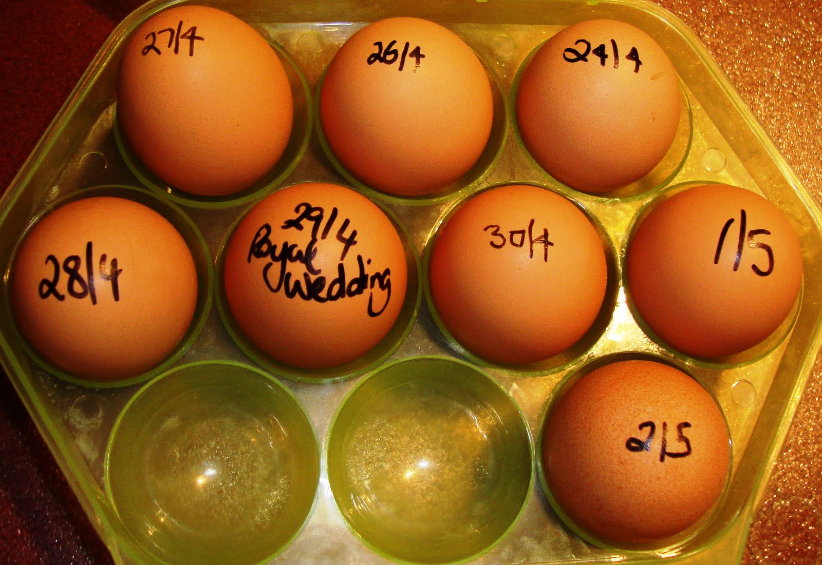 Temari Addict Australia Eggsactly what we wanted