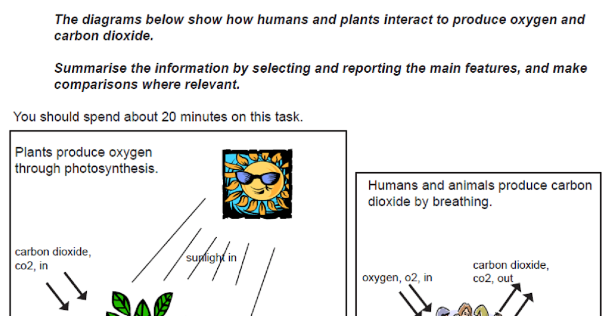 A journey to remember: plant photosynthesis IELTS task 1
