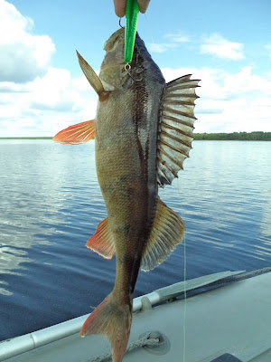 Рыбалка на кубенском озере
