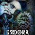 Un'uscita fantasy molto attesa: ENDORA - IL TEMPO DEGLI INGANNI di Fernanda Romani