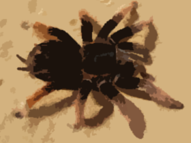 毒1(素材)