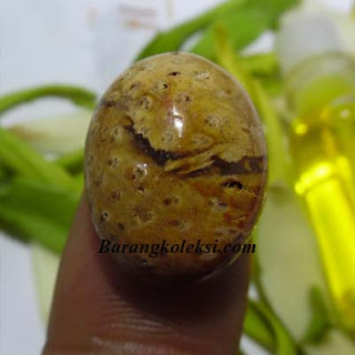 batu mustika macan lodaya, mustika macan loreng, kegunaan mustika macan putih, mustika macan kumbang, mustika macan langitm, mustika macan putih prabu siliwangi, mustika batu putih susu, pusaka macan kumbang, khasiat batu macan putih, batu mustika, mustika macan, mustika bertuah, barang bertuah, barang mustika, koleksi mustika, barang koleksi, koleksi antik, pusaka bertuah, benda bertuah, benda tarikan, pusaka tarikan, pusaka asli, mustika asli, batu tarikan, batu bertuah, mustika khodam macan putih batu mustika khodam macan