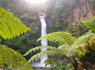Pemandangan Coban Jahe Pemandangan dan Kesejukan Coban Jahe sangat alami menyegarkan