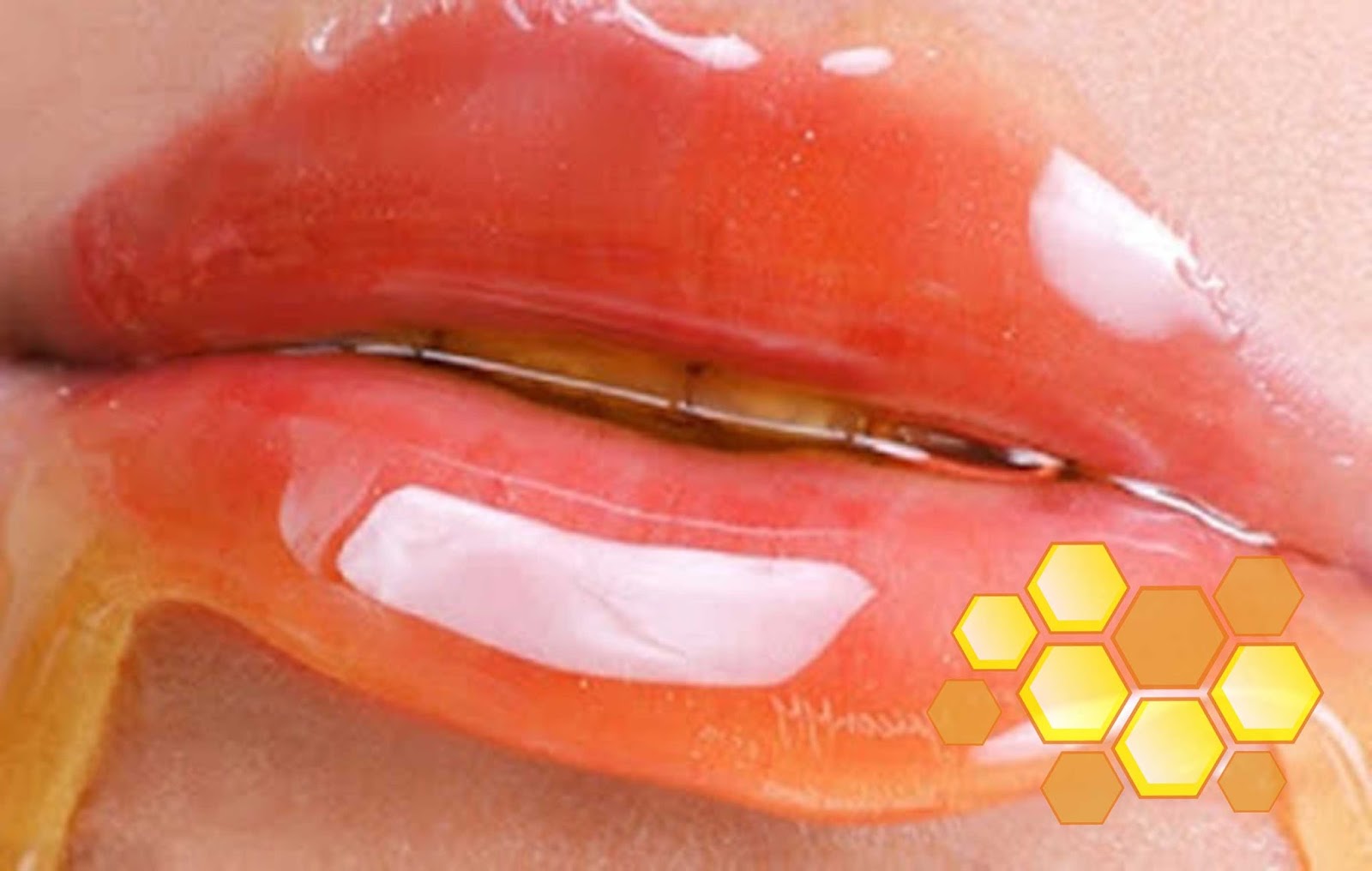 Benefits of Honey For Lips World's Honey