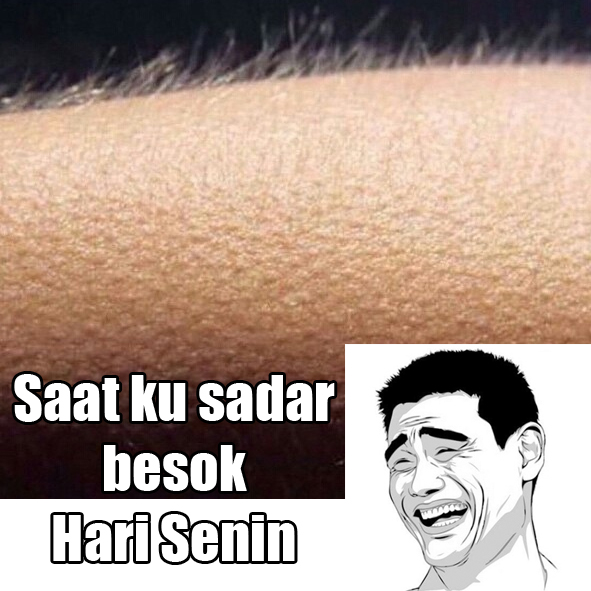 Kumpulan Gambar Meme Besok Hari Senin Gambar Lucu Terbaru