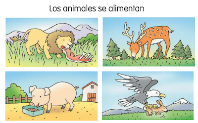 Blogs de Ana Bastida 1º y 2º: ¿Qué comen los animales?