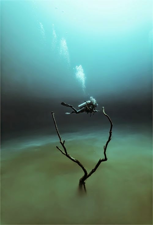 Cenote Angelita, Mystical Underwater Cenote Angelita, Mystical Underwater