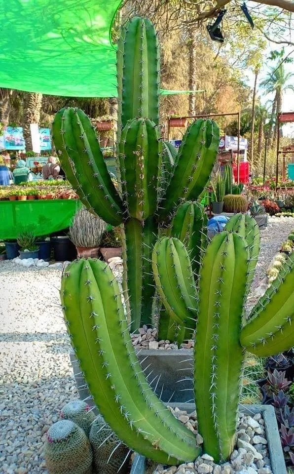 خلفيات مناظر طبيعية روعة