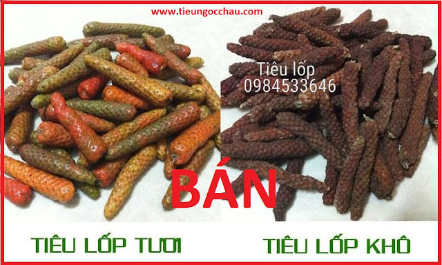 Bán tiêu lốp Bán tiêu lốp