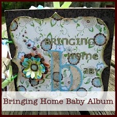 bringing home baby mini album