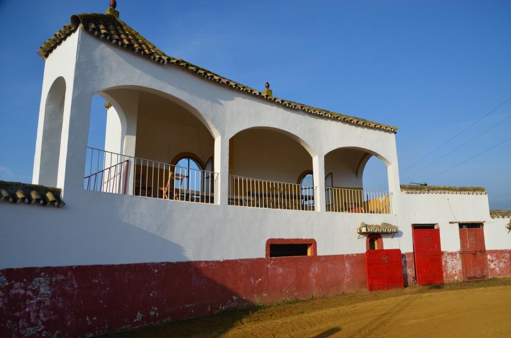 Foto de Finca Quitapesares en Villanueva del Río y Minas, Sevilla