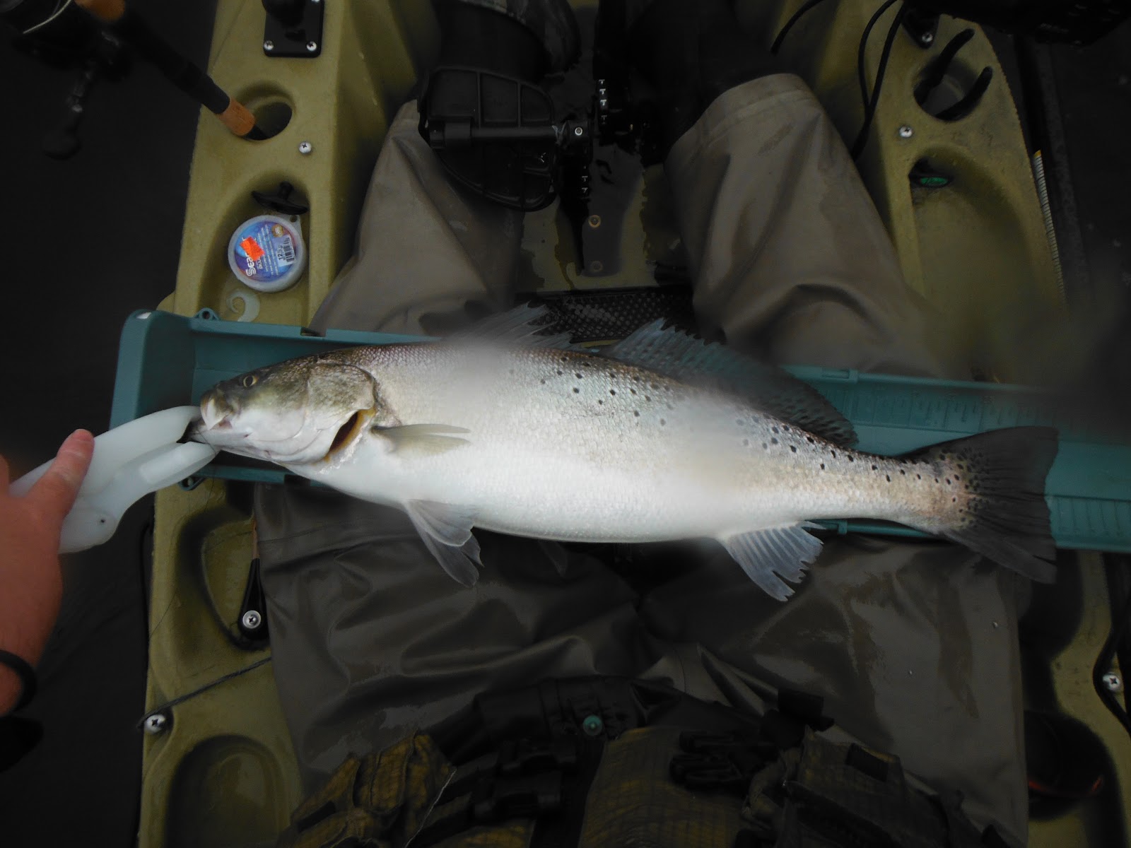 Long Island Kayak Angler Elizabeth River, Chesapeake, VA Citation