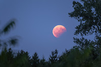 Lunar Eclipse seen from Garching