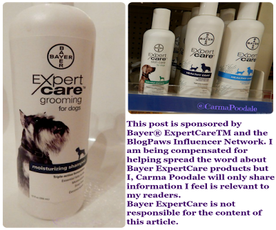 Bayer Expert care shampoo and legal info