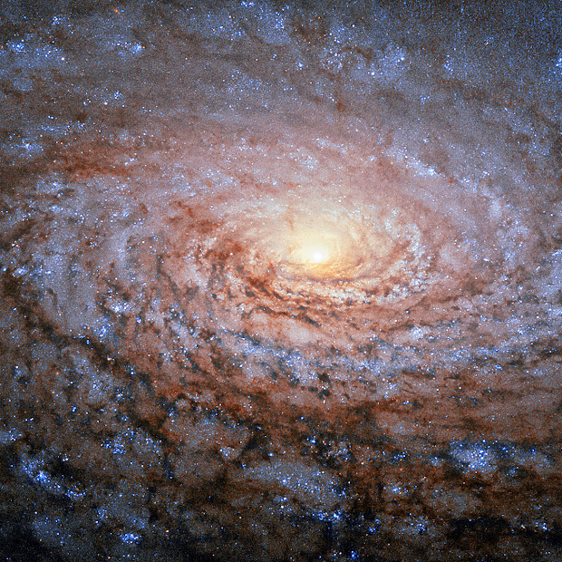 Spiral Galaxy M63