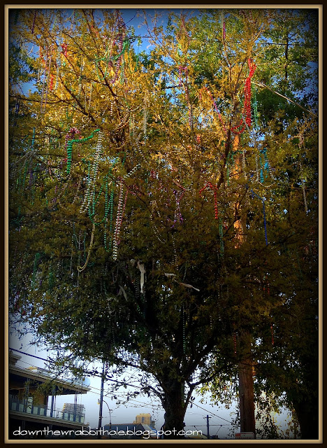New Orleans Mardi Gras, Mardi Gras beads, St. Charles Ave New Orleans