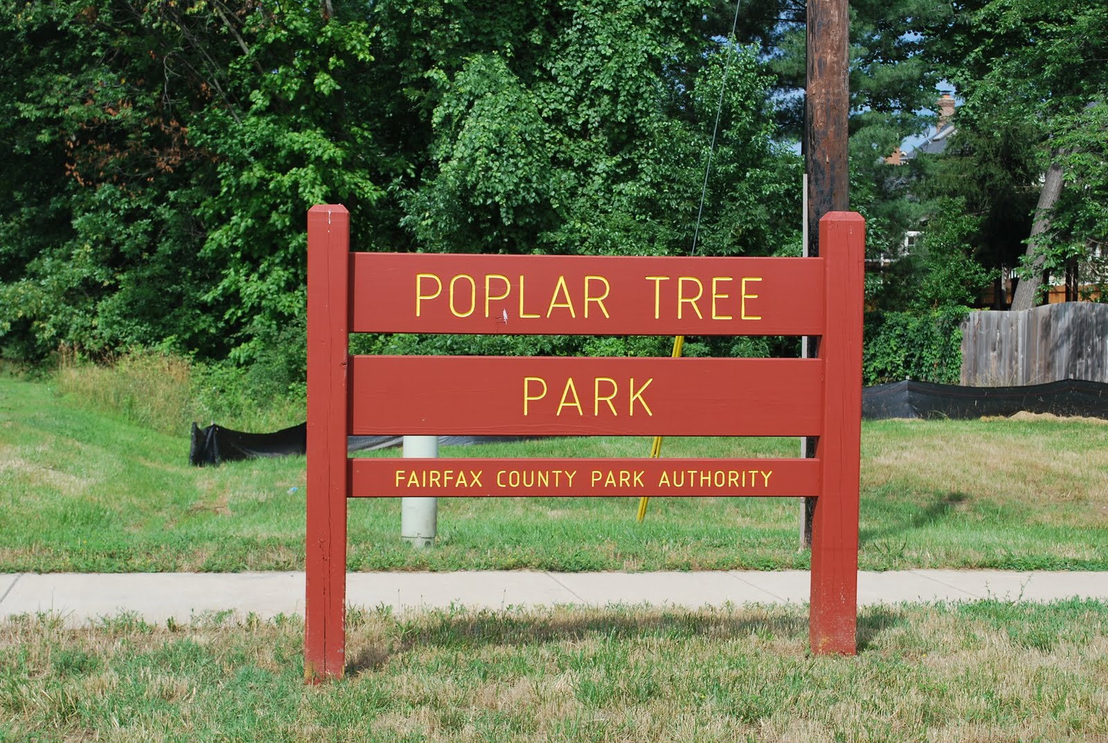 The Next Best Thing..... Poplar Tree Park in Chantilly, VA