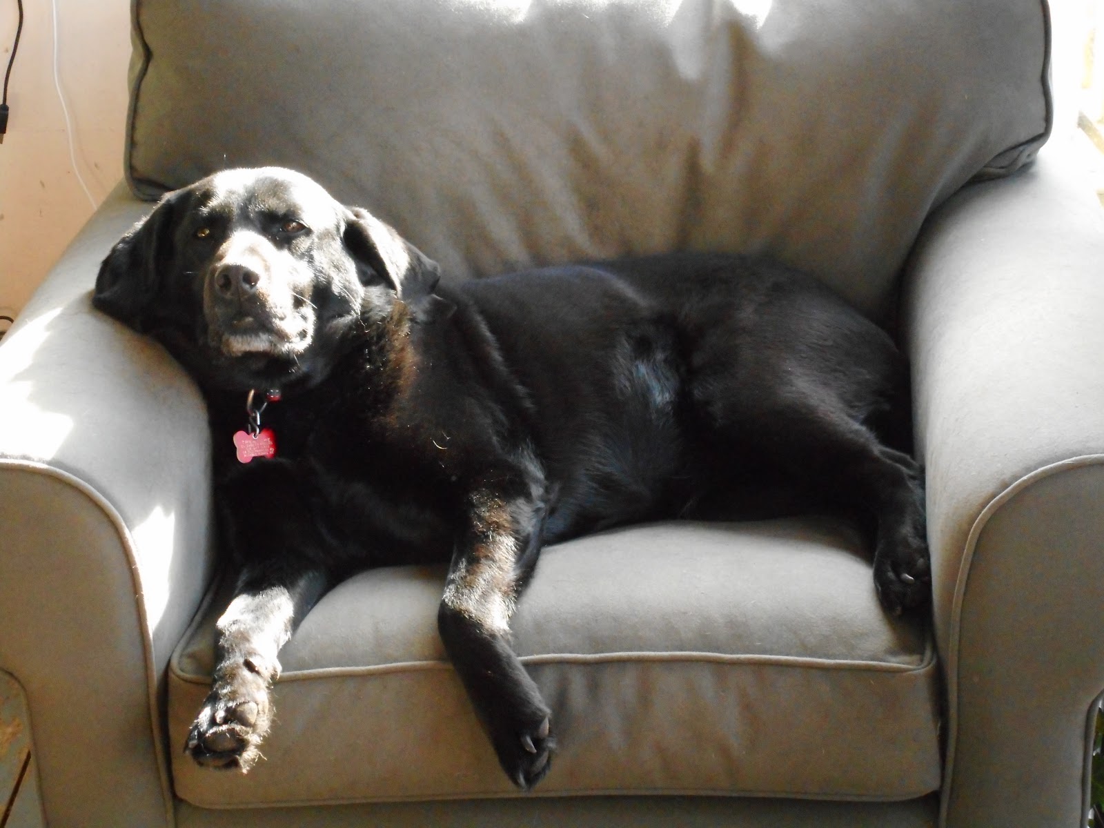 who-knew-it-would-be-like-this-big-feet-really-big-feet