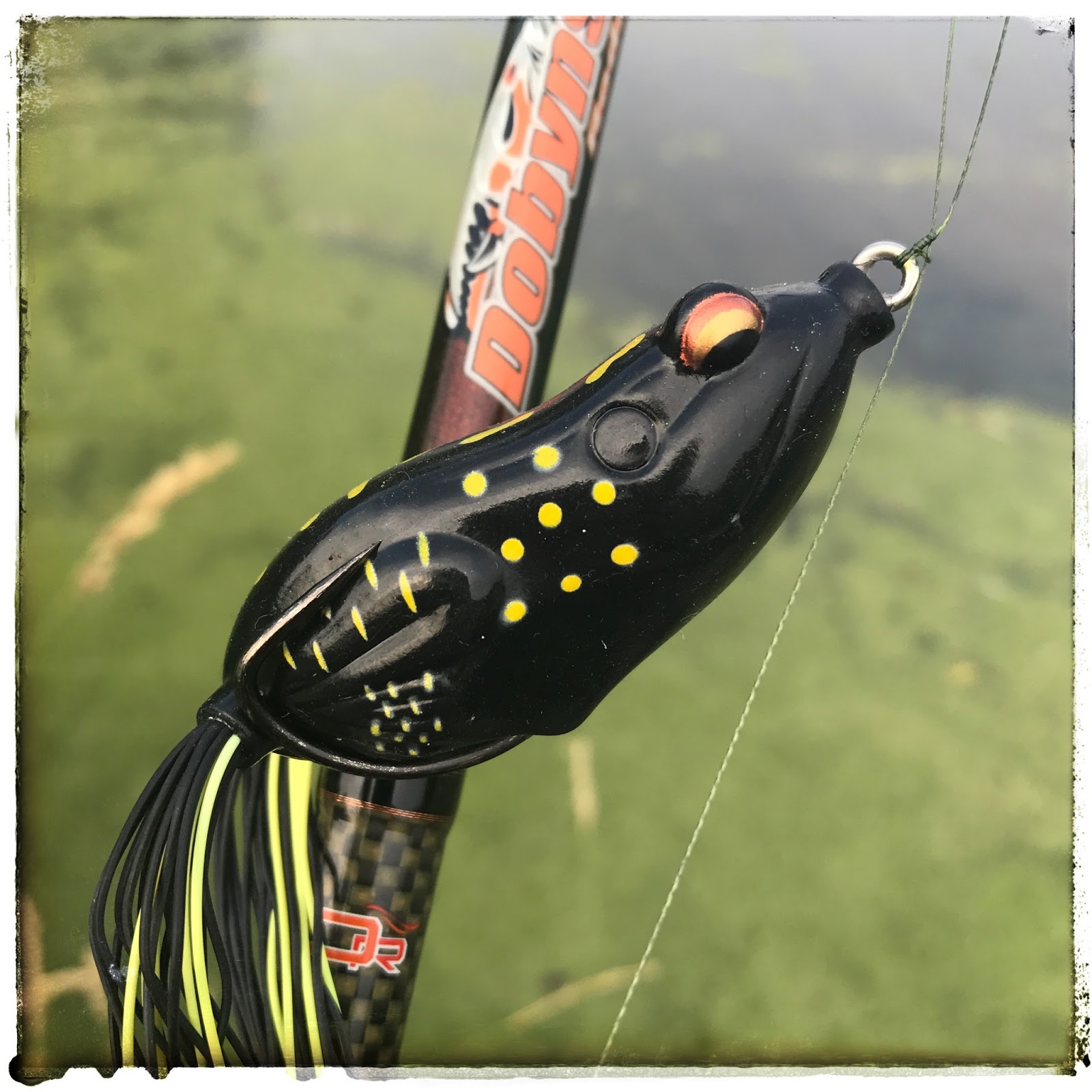 Bass Junkies Frog Pond: Savage Gear 3D Floating Skirt Frog Review
