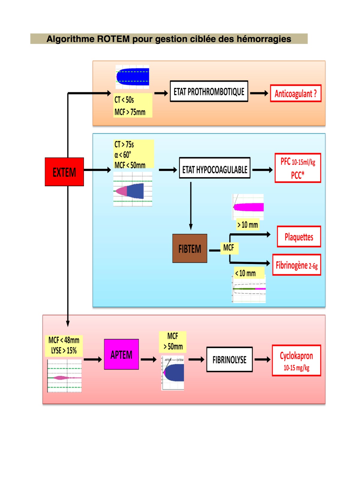 Manuali di Medicina Intensiva: Tromboelastogramma - ROTEM (Capitolo 2 ...