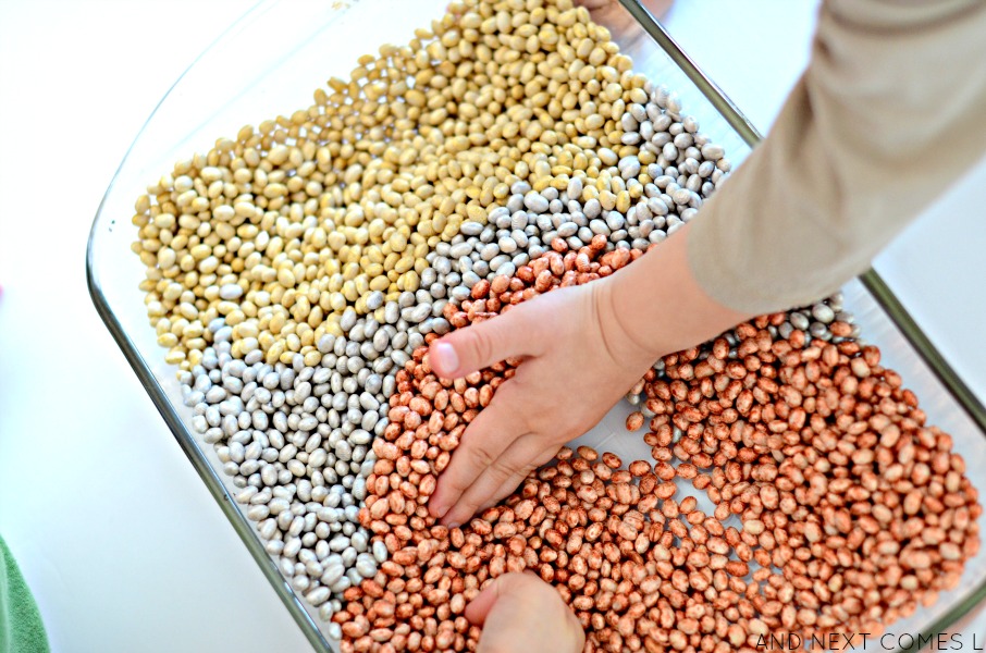 Metallic Dyed Beans {How to Dye Beans for Sensory Play} And Next Comes L Hyperlexia Resources