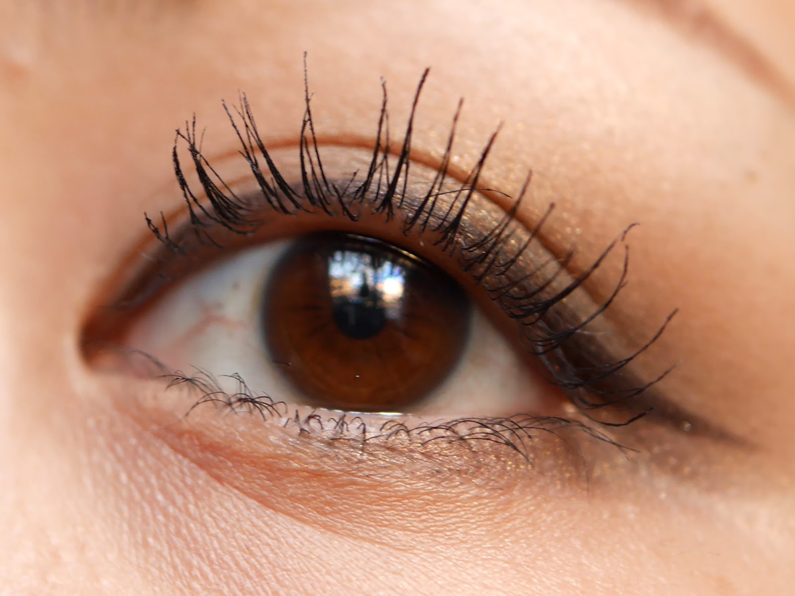 Fasio Mascara Base Long The Beauty Maniac in Tokyo