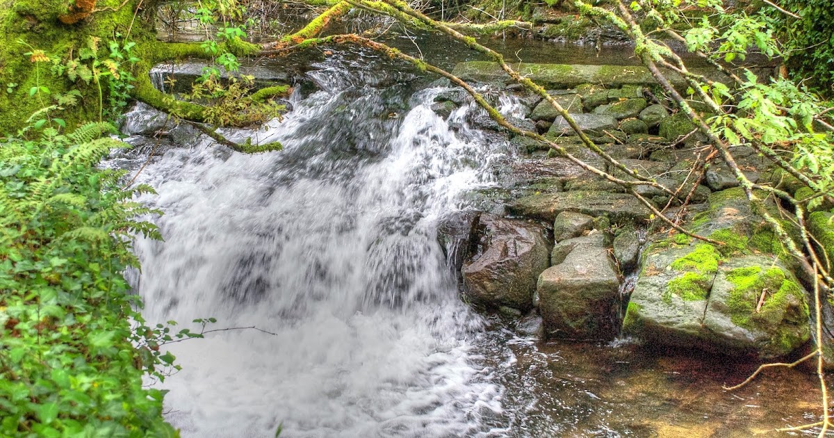 DE GALICIA: FERVENZAS DEL RIO SARELA
