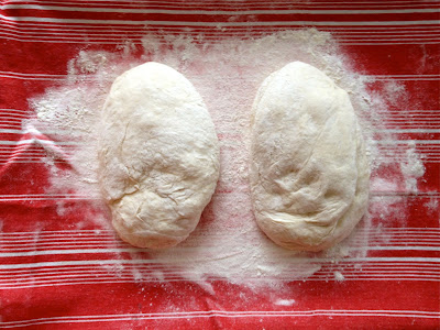 bread dough rising kneading flour williams sonoma towel