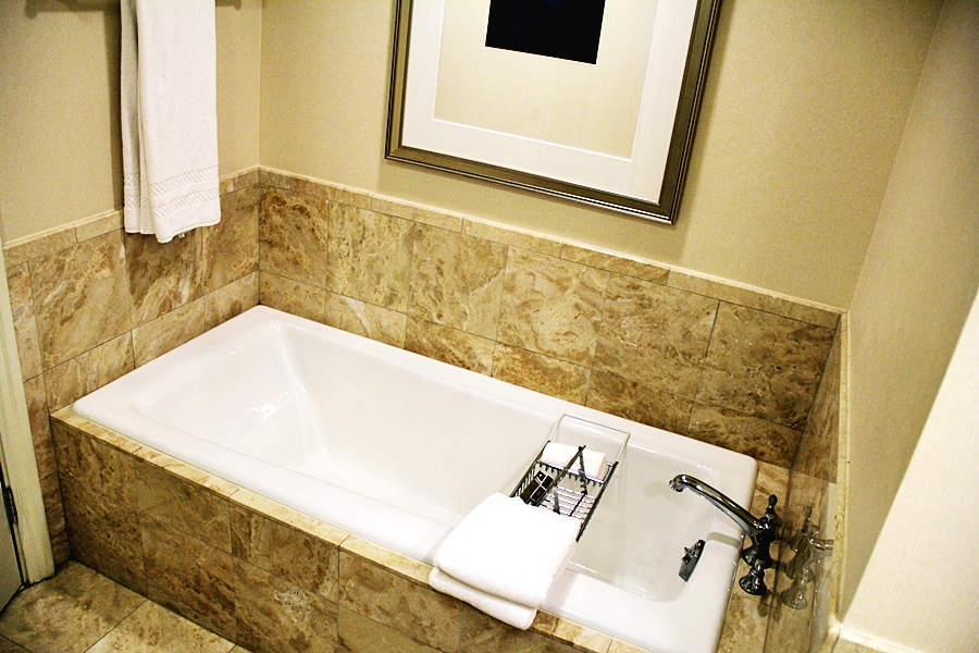 TRAVEL THE RITZ CARLTON DOWNTOWN BOSTON , HOTEL REVIEW