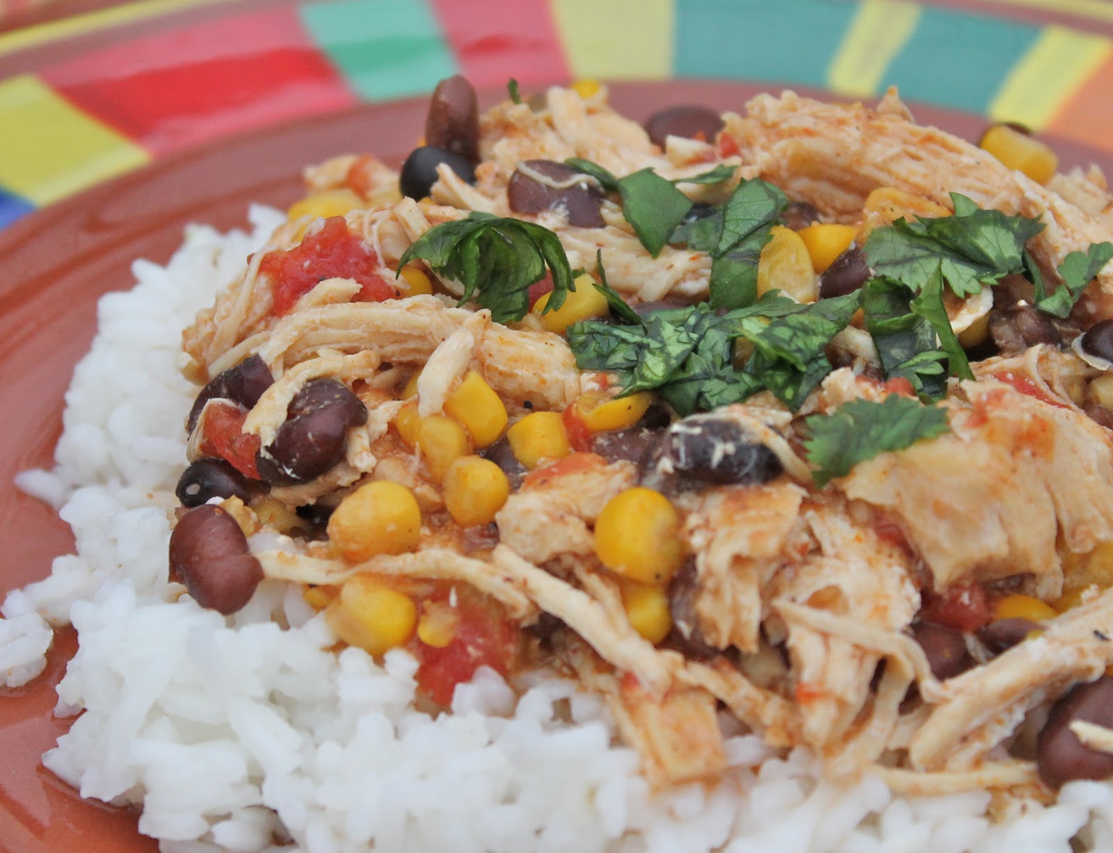The Traveling Circus Slow Cooker Chicken Enchilada Chili Over Rice